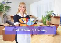 Everclean Dublin - House Cleaning Services image 5